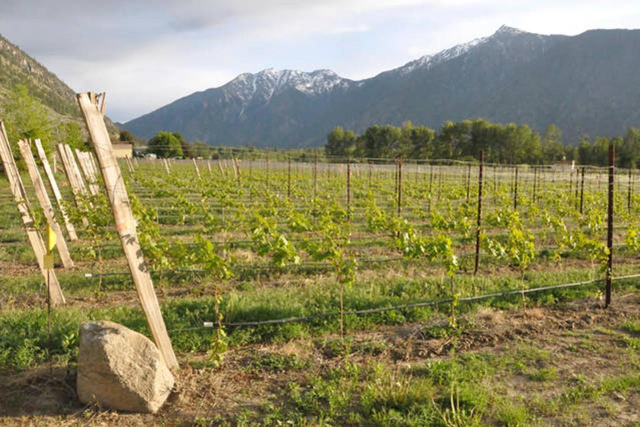 Similkameen Wild Resort&Winery Retreat Osoyoos Exterior foto